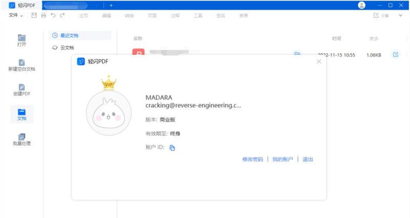 编辑软件傲软轻闪PDFv2.15.3破解版-智点软件