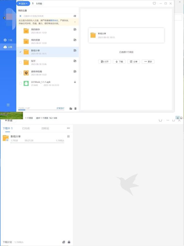 迅雷解锁版，化繁为简更轻快，满速下载!-智点软件