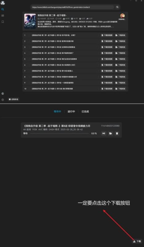 B站4K随便下这工具真行 支持大会员阿晔出山-智点软件