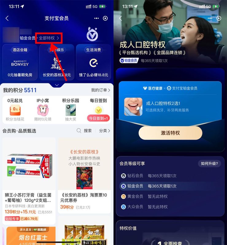 支付宝铂金钻石会员免费洗牙-智点软件