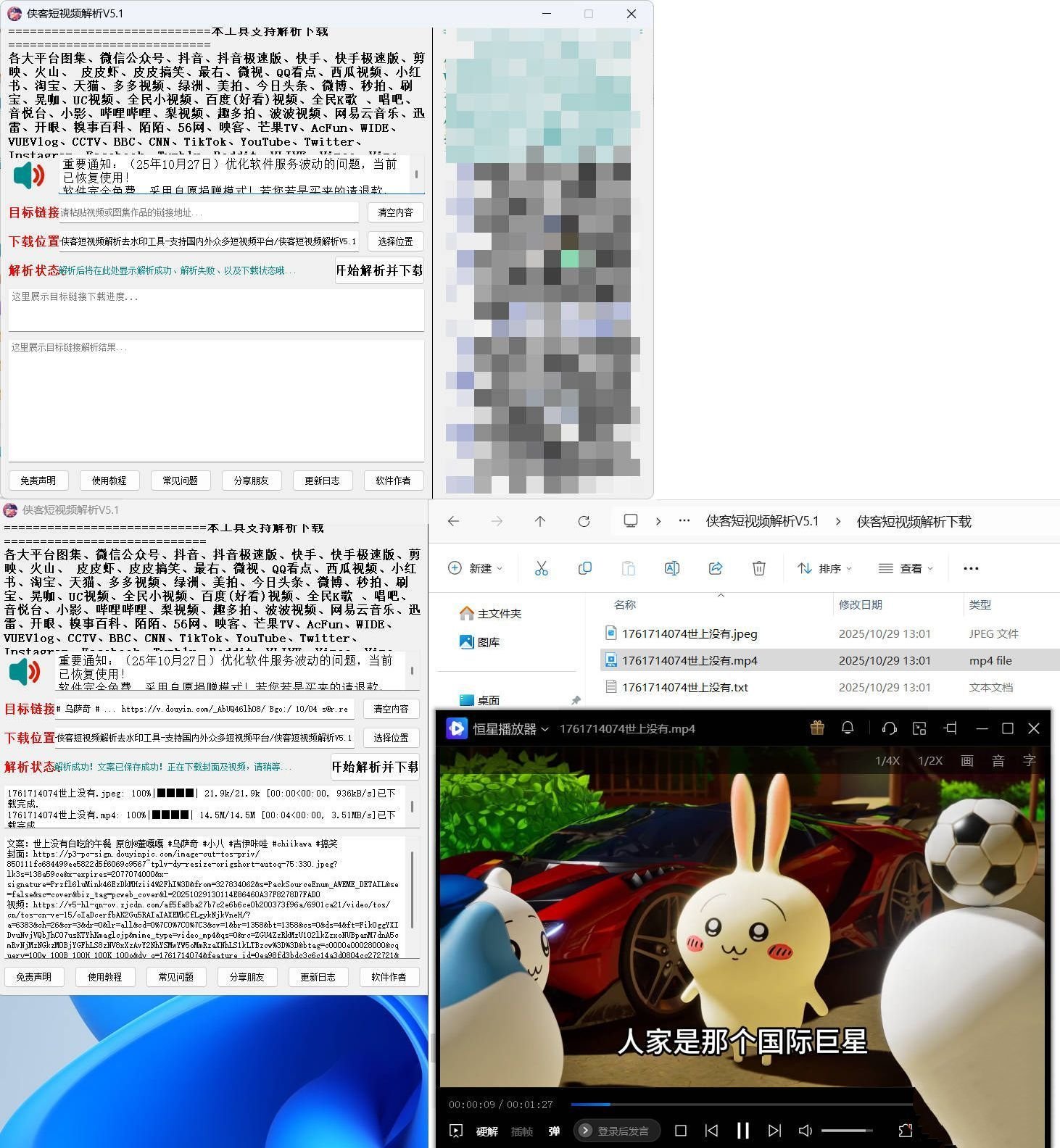 图片[1]-侠客多平台短视频解析去水印工具 V5.1-智点软件