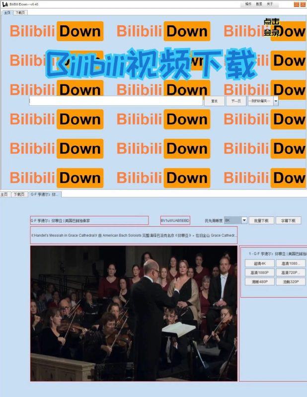 b站视频下载软件BilibiliDown v6.40-智点软件