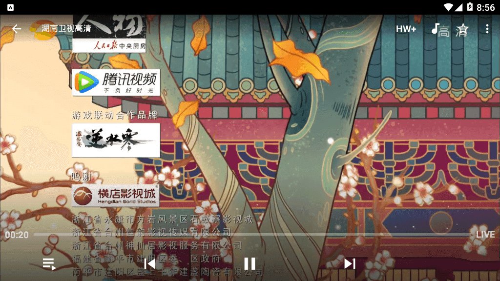图片[2]-播放器IPTV Pro v9.1.16 解锁专业版-智点软件
