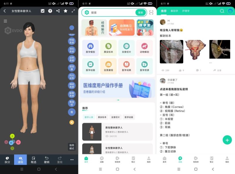 医维度解剖3.3.21一键解刨｜医学知识｜一键脱衣等-智点软件