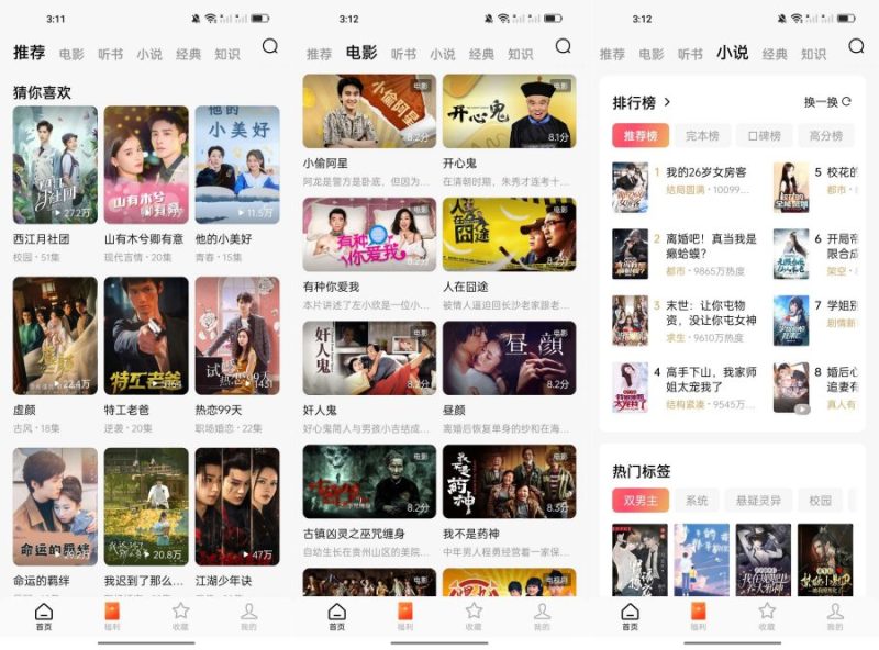 最强红果短剧软件内置小说全部书源-智点软件