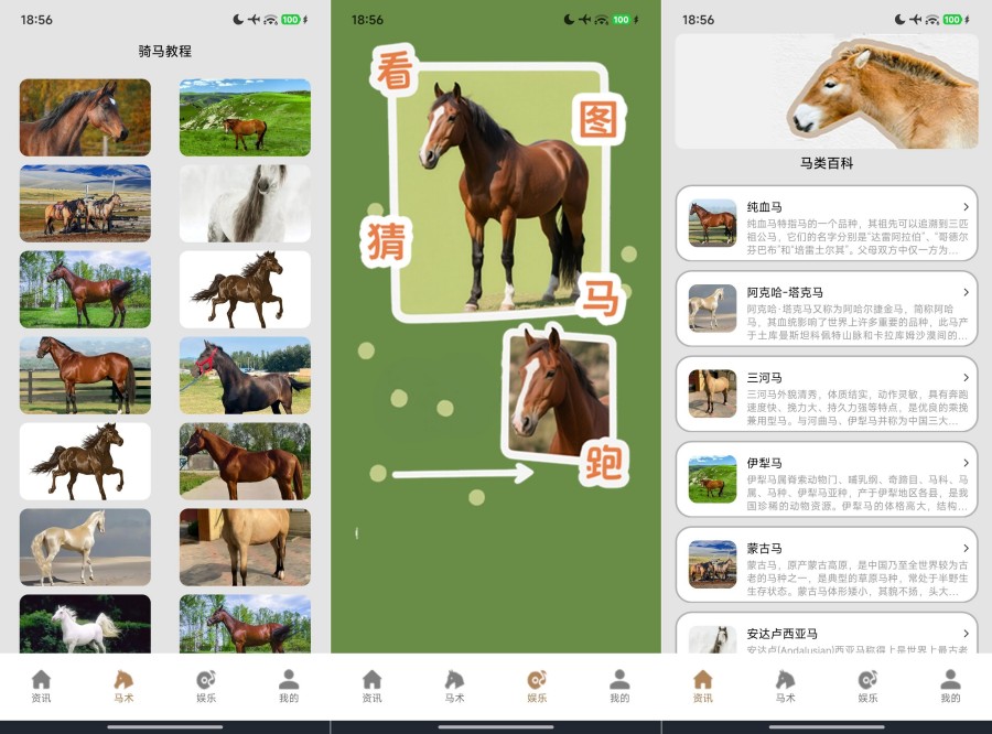 图片[1]-小马模拟器2.1去广告版 小马模拟器趣味多多-智点软件